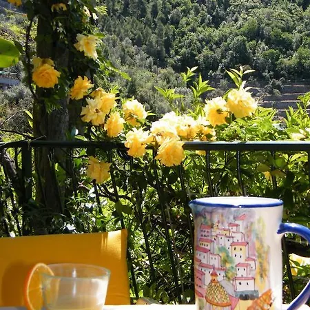 Pellegrino