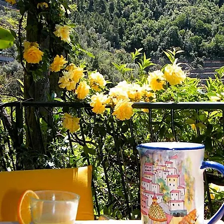 Pellegrino Praiano